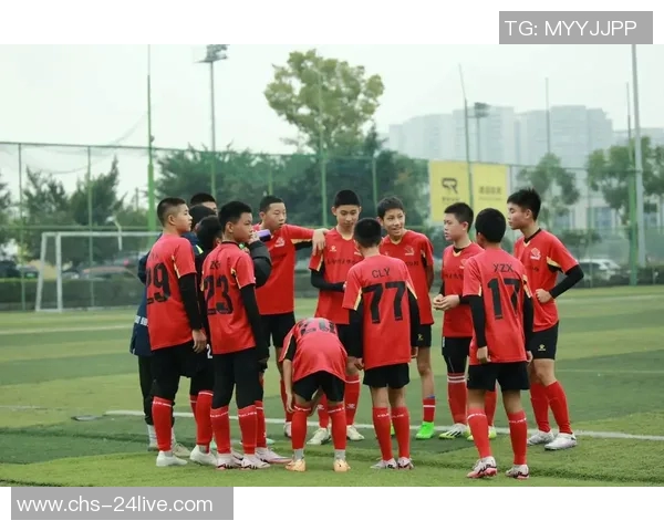 足球常识全解析从规则到技巧助你成为球场小达人